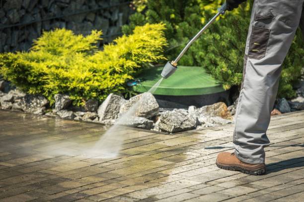 Best Spring Cleaning  in Venice Gardens, FL